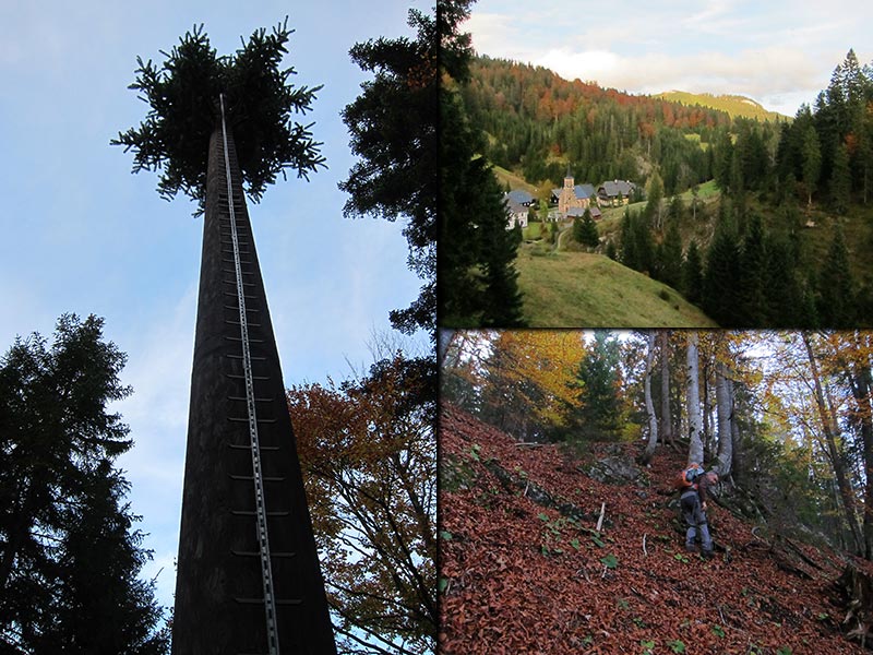 geissangerkogel